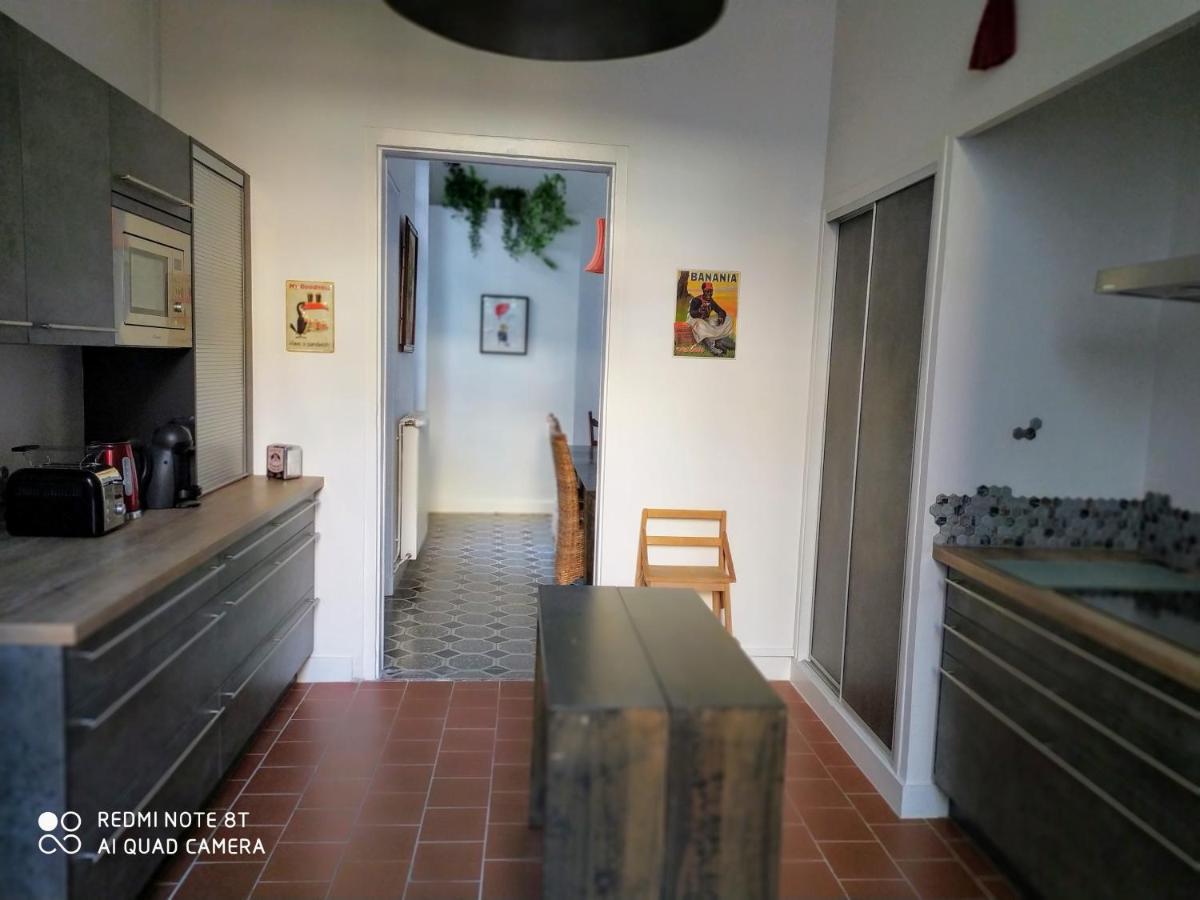 Le Selamat, Logis Xxl Au Calme Avec Terrasse Carcassonne Zewnętrze zdjęcie